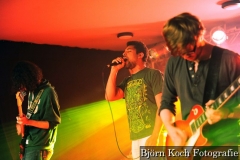 11.10.2014, Stonebraze Live im Rockbüro Herne - Foto: Björn Koch