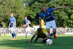 Testspiel DSC Wanne-Eickel - FC Schalke 04